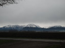 dsc_0795