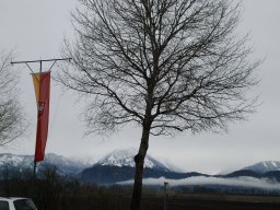 dsc_0801