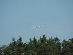 dsc_8525