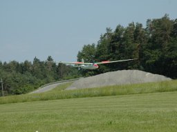 dsc_8528