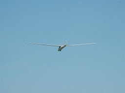 dsc_8555