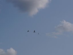 img-20250806-wa0040