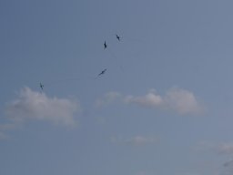 img-20250806-wa0041