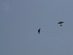 img-20250806-wa0047