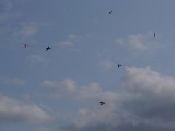img-20250806-wa0048
