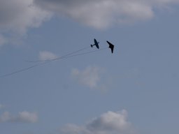 img-20250806-wa0049