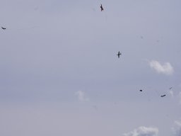 img-20250808-wa0013