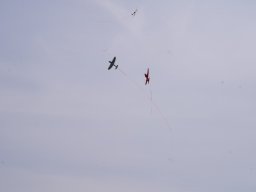 img-20250808-wa0016