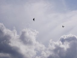 img-20250808-wa0017