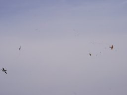 img-20250808-wa0018