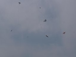img-20250809-wa0028
