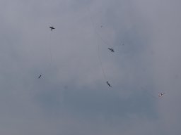 img-20250809-wa0036