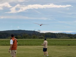 img_2593