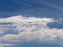 img_2604
